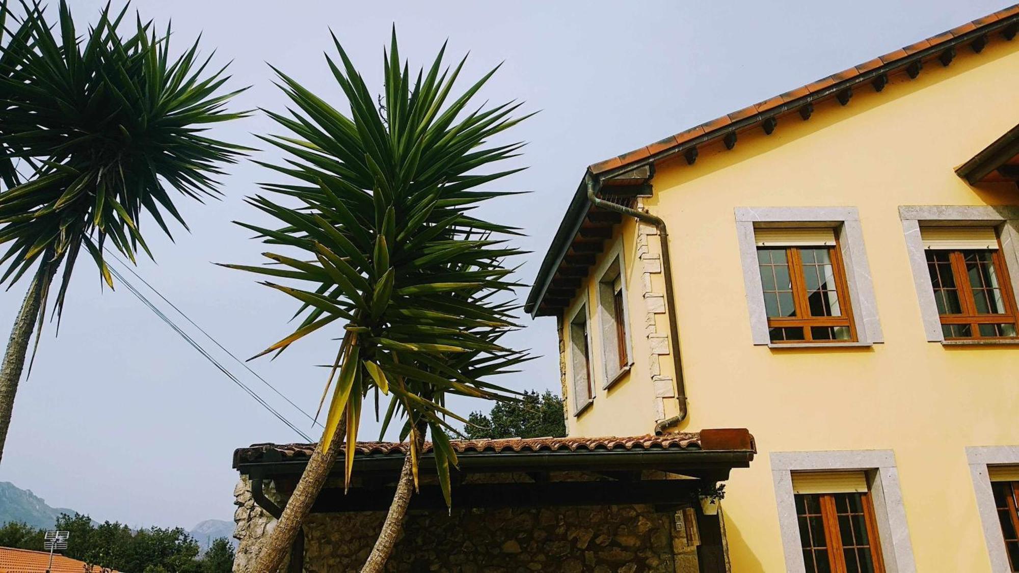 Natalia Loft Rural Llanes